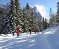 winter Urlaub in Sexten Dolomiten Winterwandern Langlauf Schneeschuhwandern in Südtirol 
			Erholung